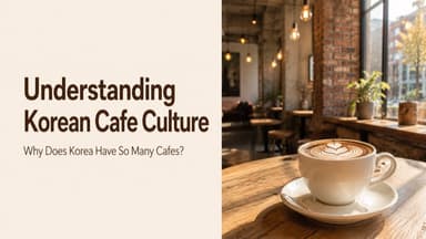 Understanding Korean Cafe Culture: Why Does Korea Have So Many Cafes?