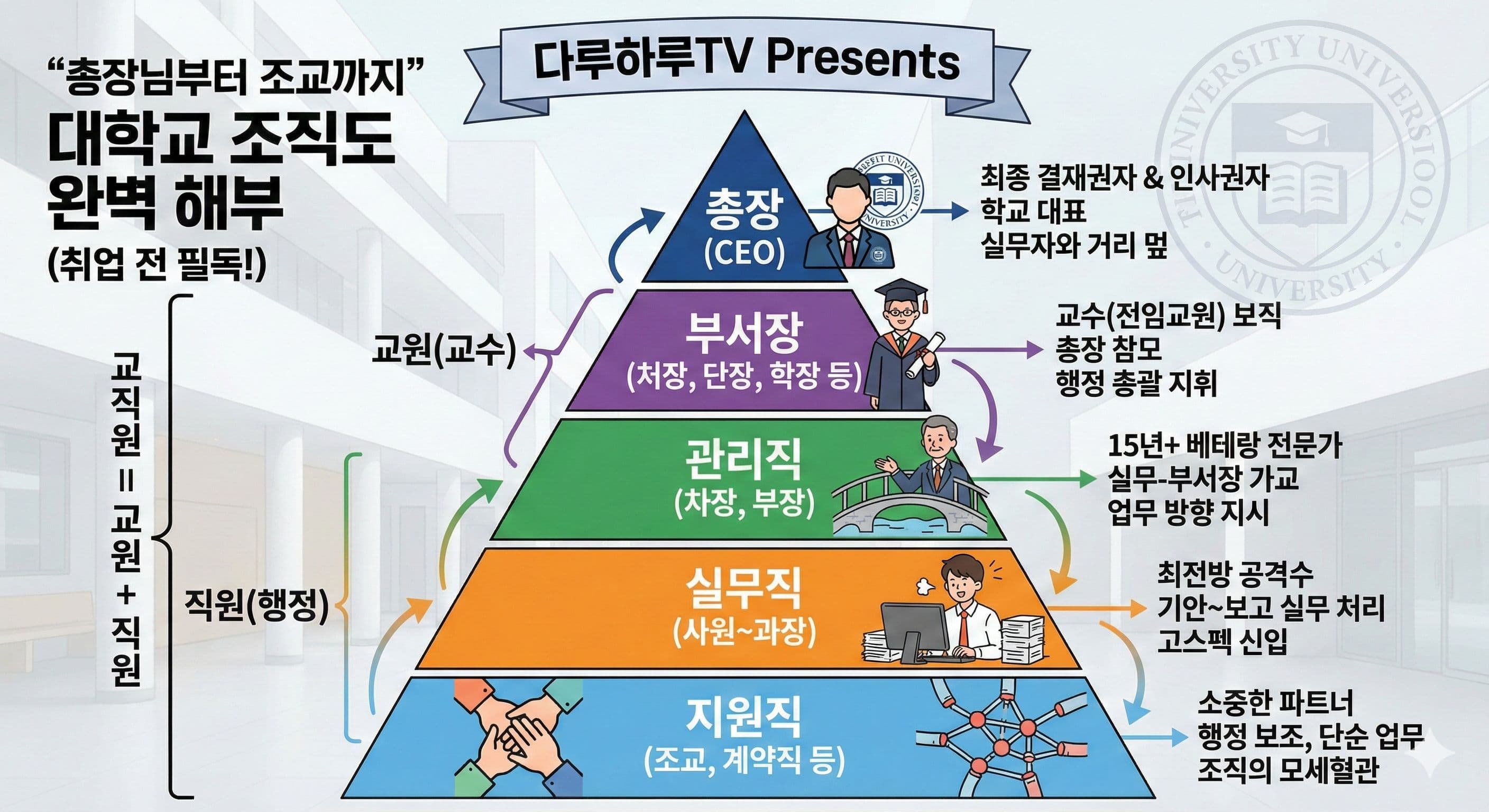 "총장님부터 조교까지" 대학교 조직도 완벽 해부 (취업 전 필독!)